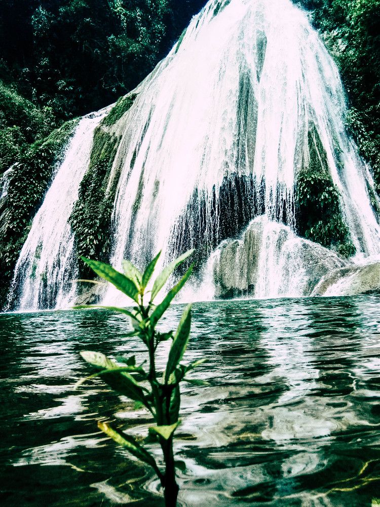 Connecting with Nature