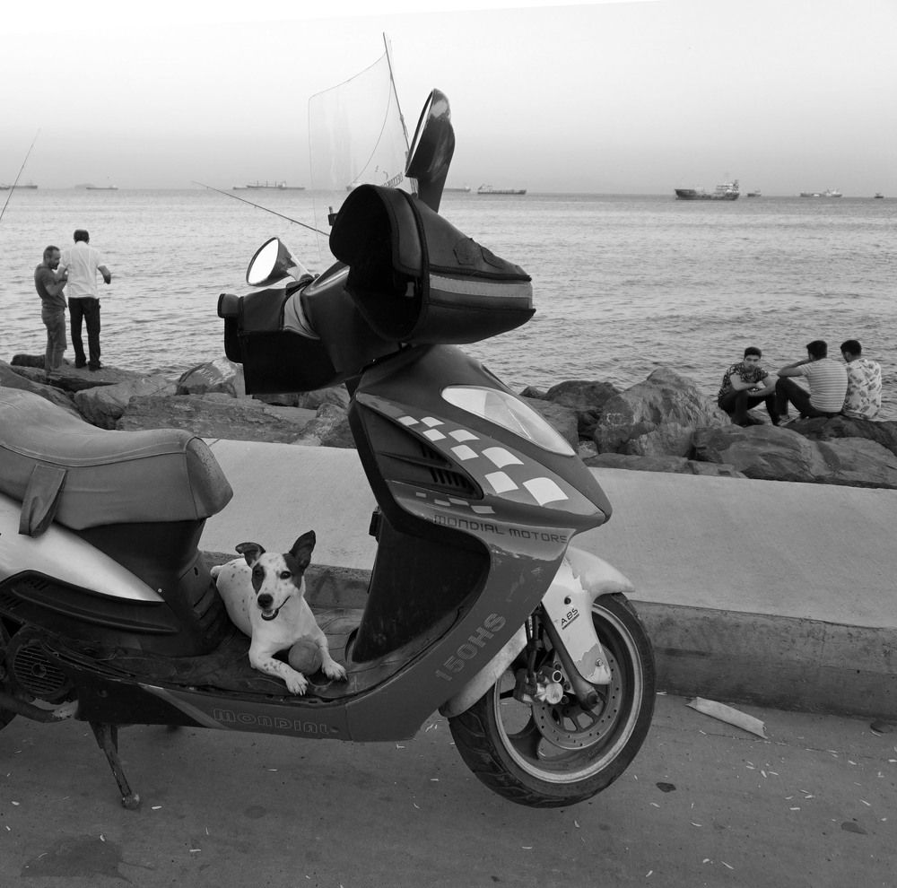 Дело было вечером ...