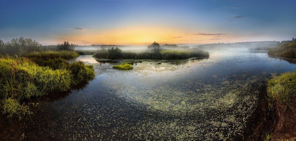 Над прудом туман
