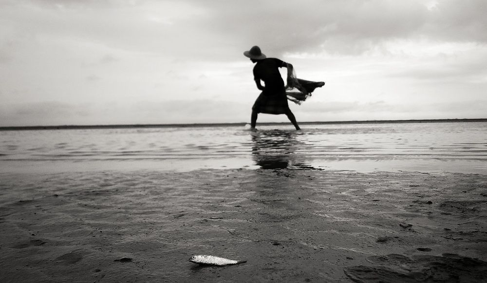 The Fisher Man Catch Fish