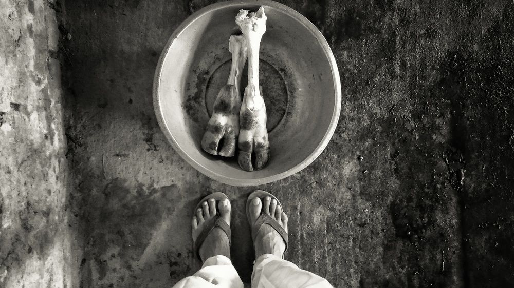 Two different Stories of Pairs Of Legs