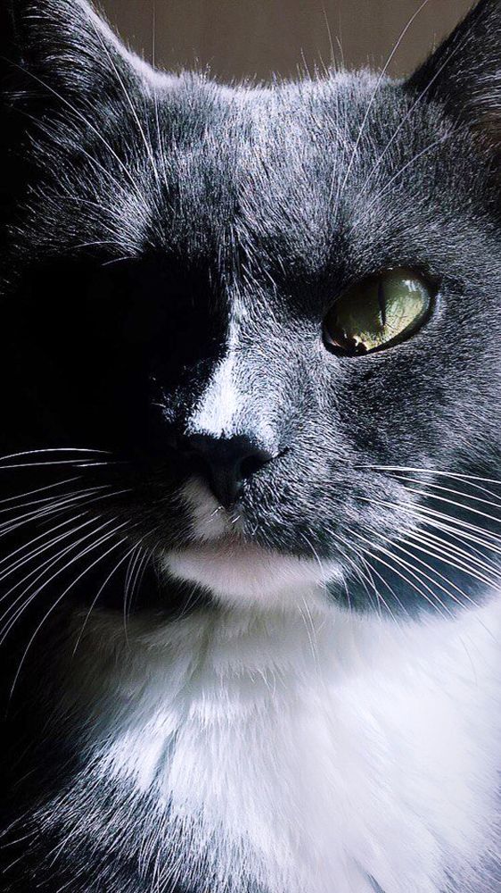 Photograph by Ирина Чертова