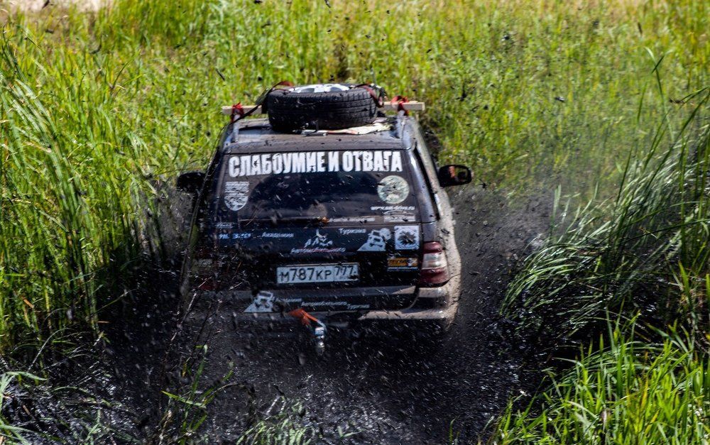 Слабоумие и отвага