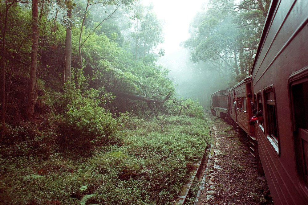 Photograph by Станислав Ситников