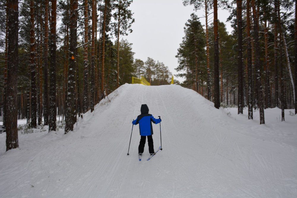Фотография автора Елена Бракоренко