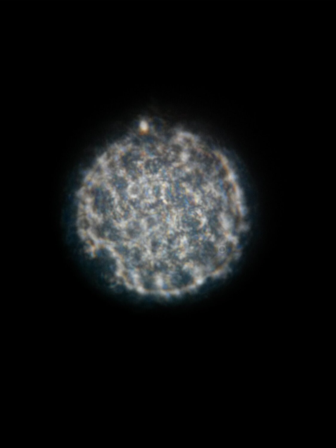 Квант