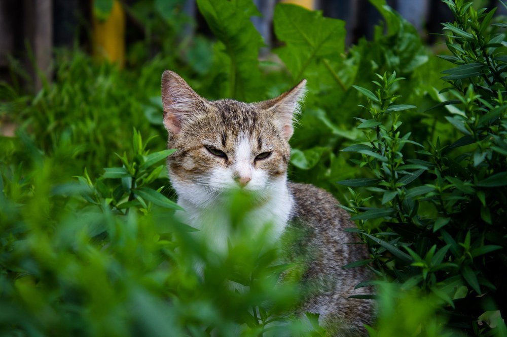 Photograph by Yuliya Dejkun