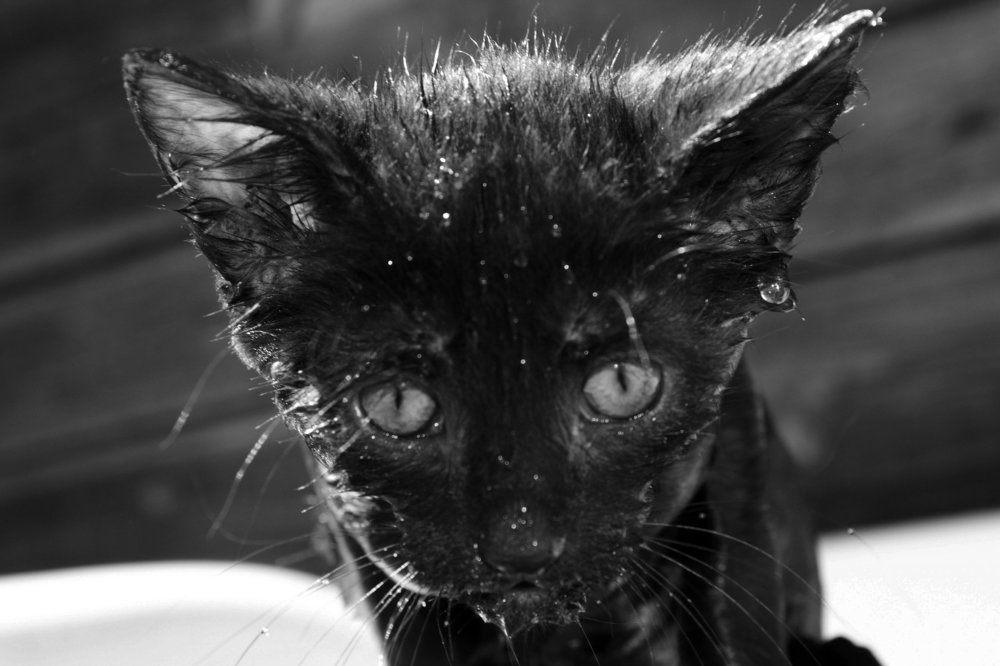 Photograph by Yuliya Dejkun