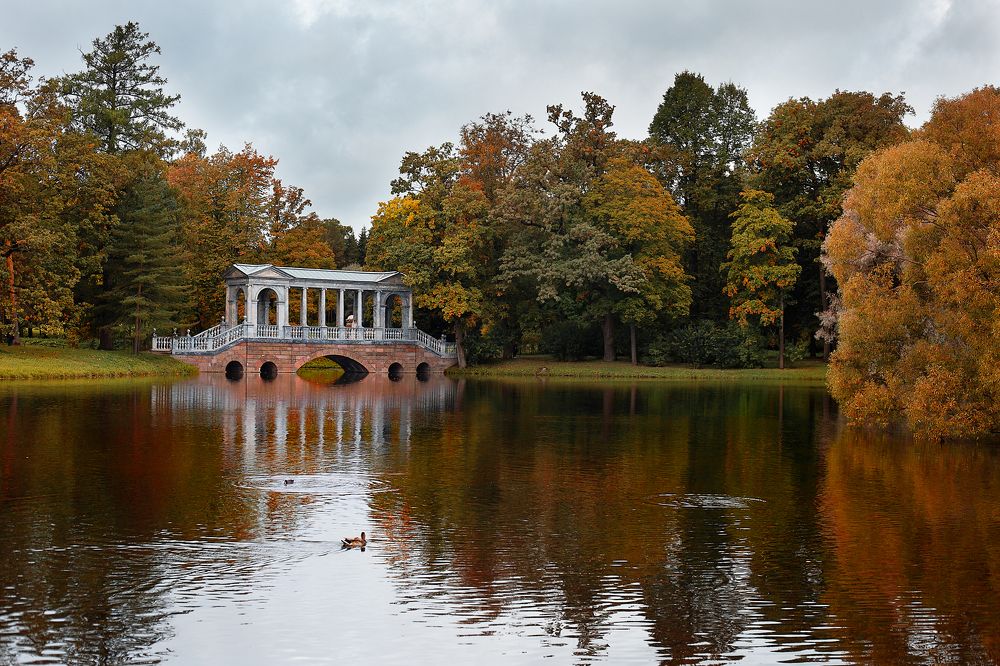 Photograph by Виктория Зайкова