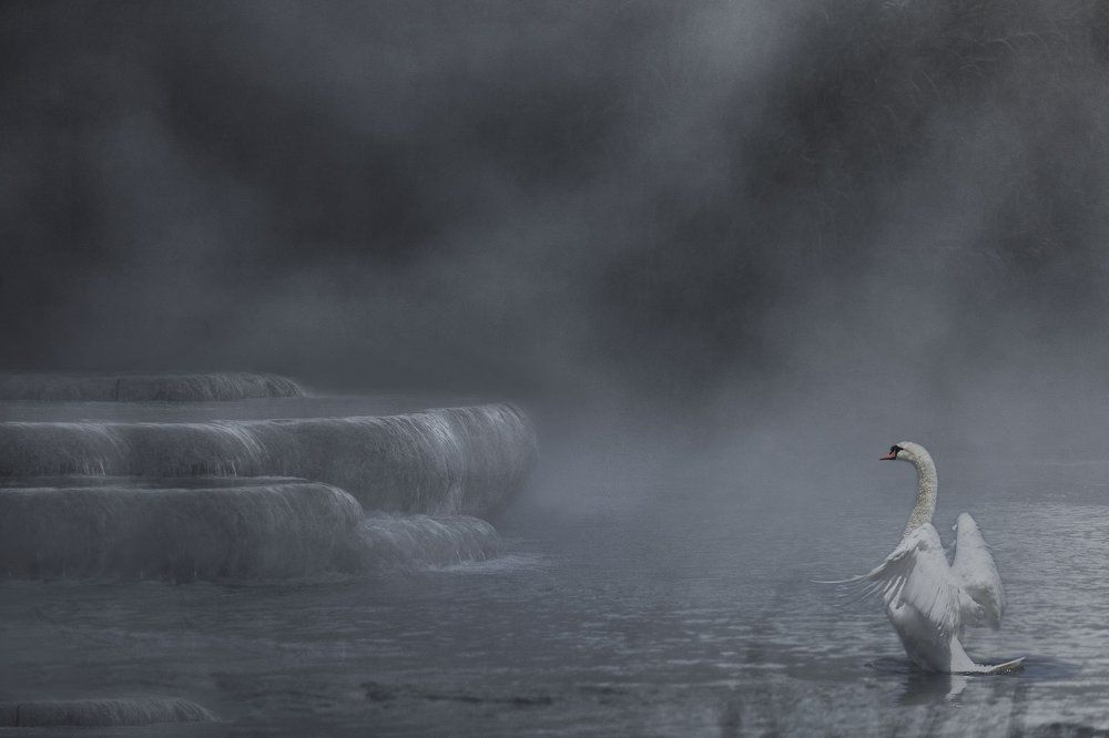 Photograph by Olena Leliuk