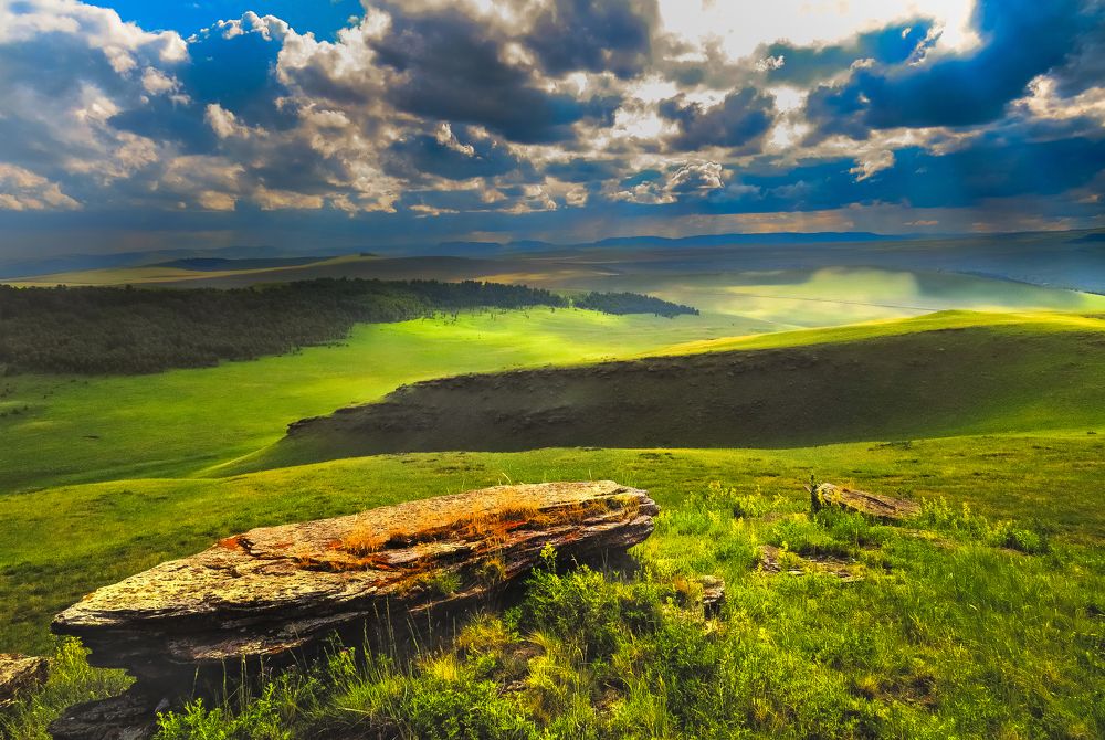 Июньский полдень