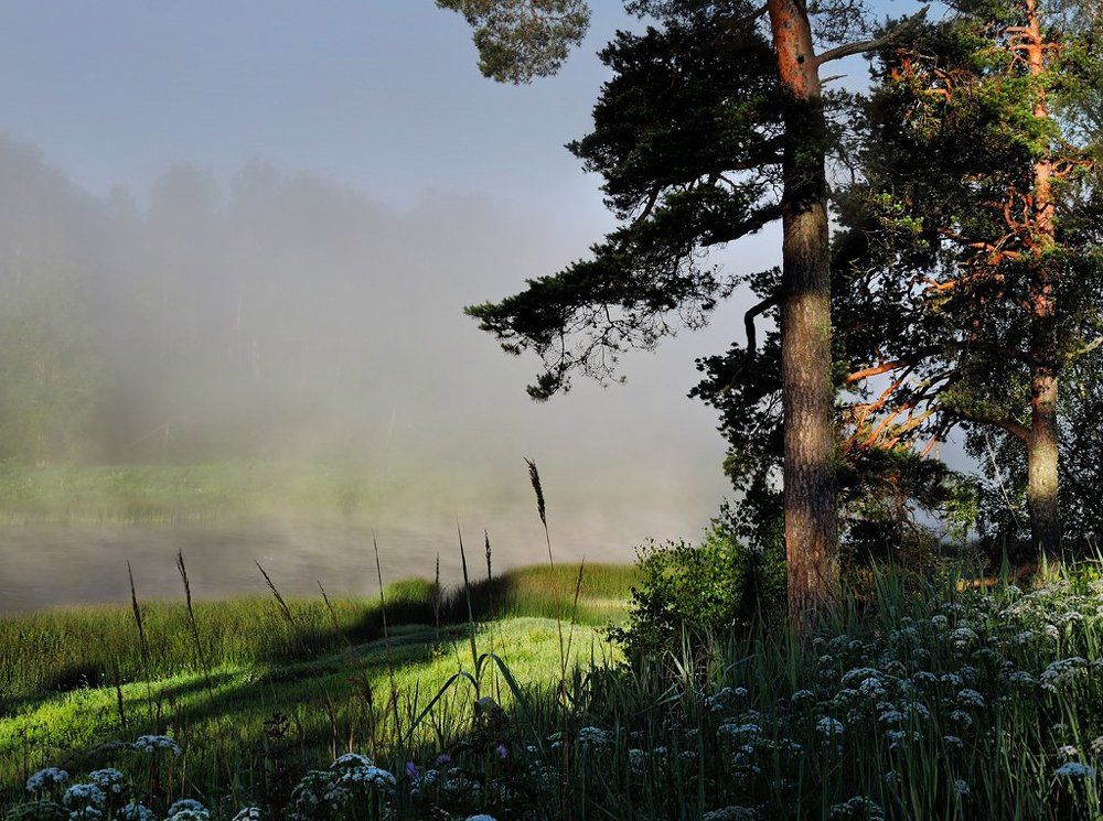 Тает туман над рекой