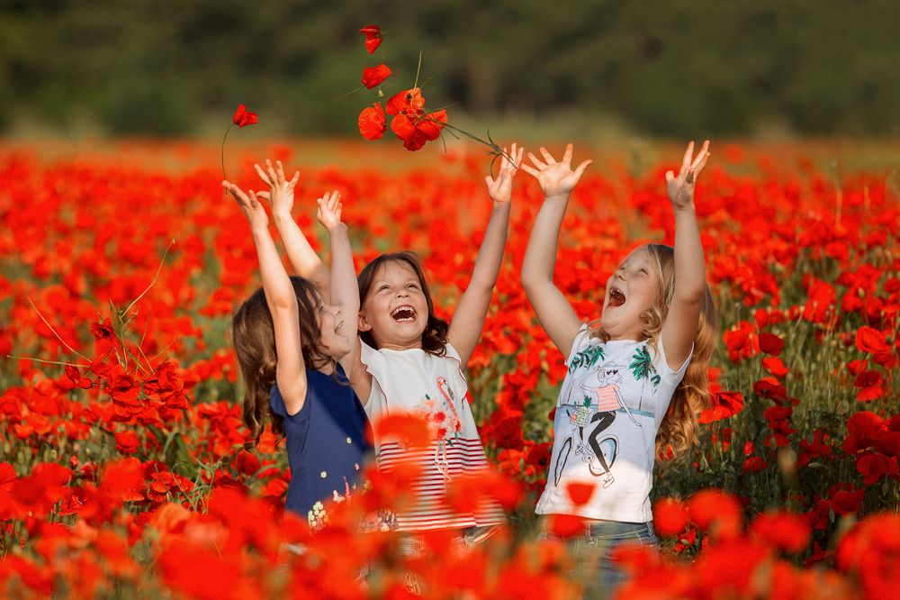 Подружки в маковом поле