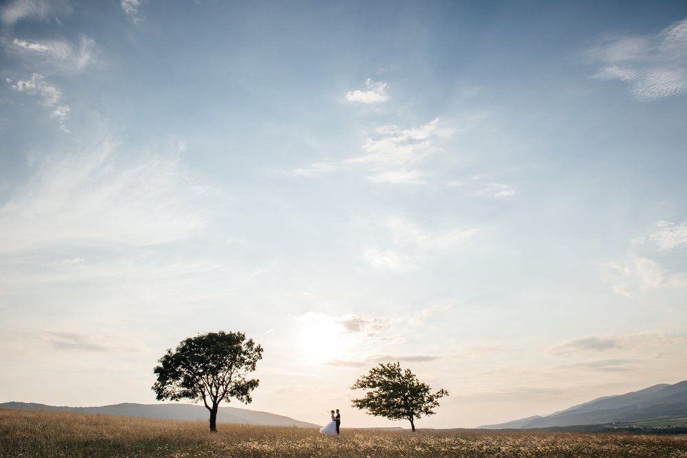 Любовь в поле
