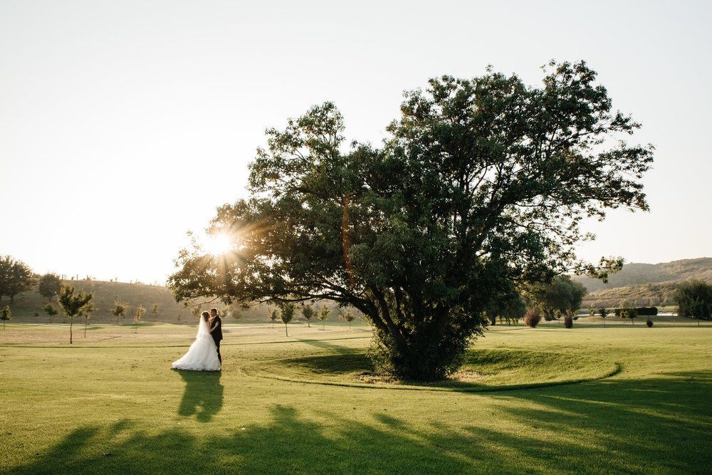 Дерево любви