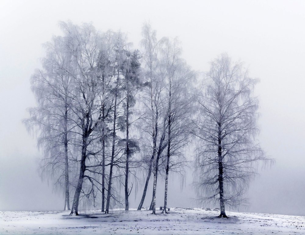 Winter fog