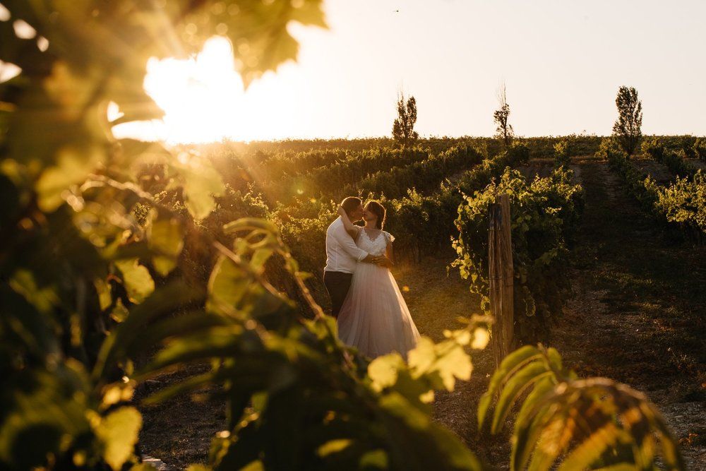 Виноградники