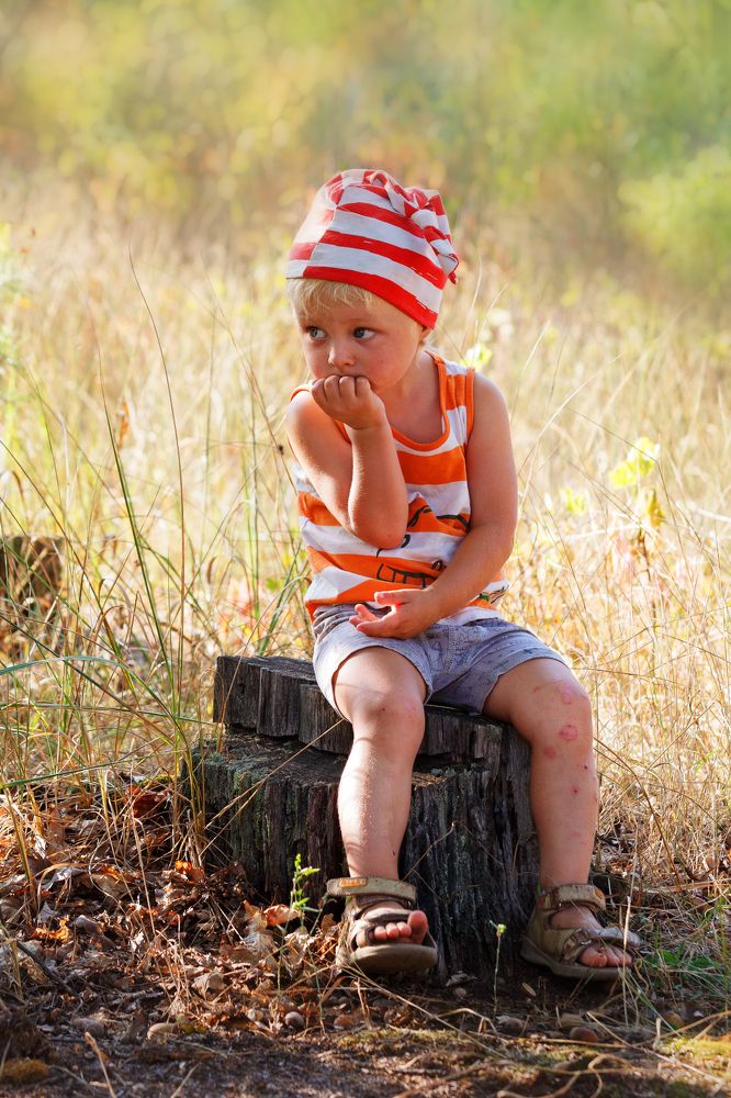 Буратино на поле чудес