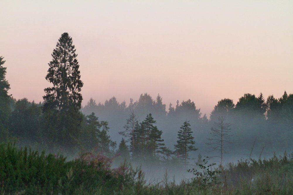 В дымке утра