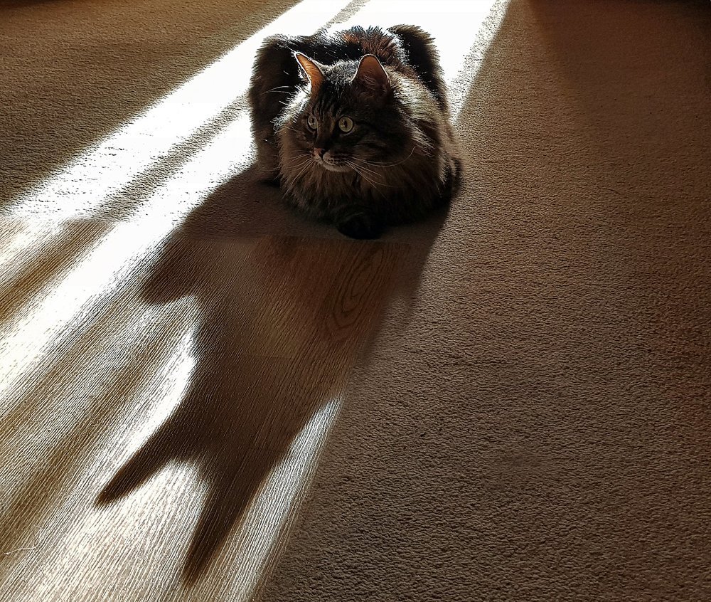 Трансформация ипостаси