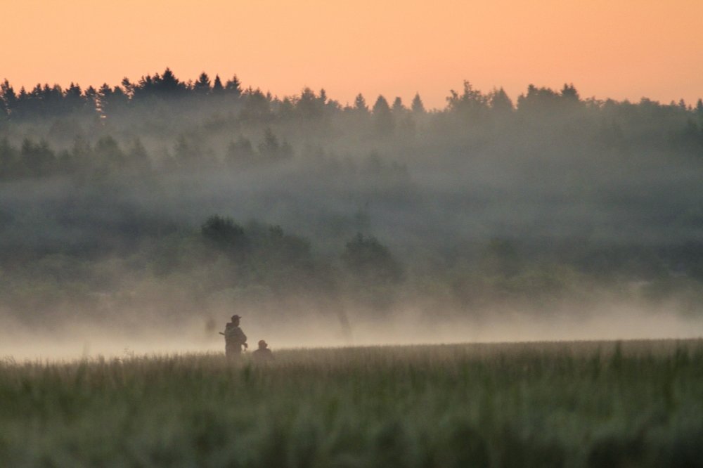 В дымке утра