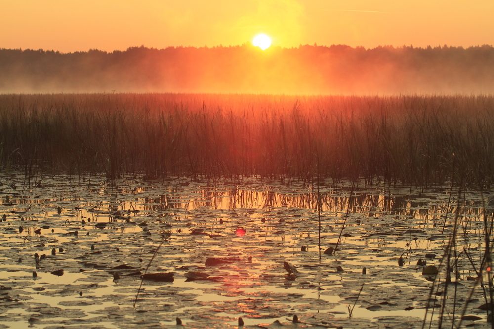 Красное утро