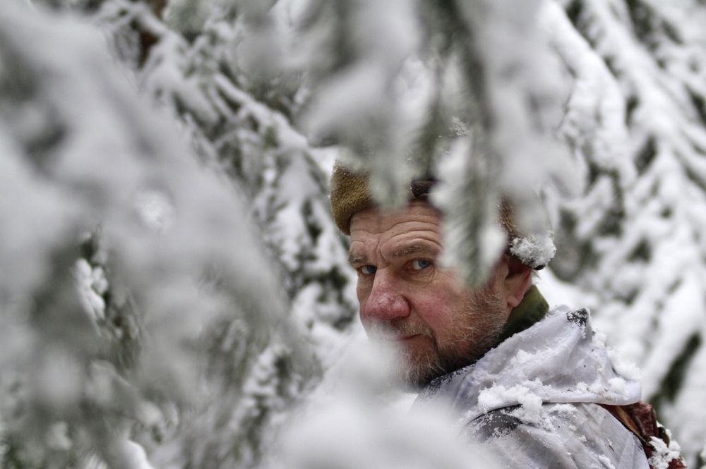 Сквозь чащу