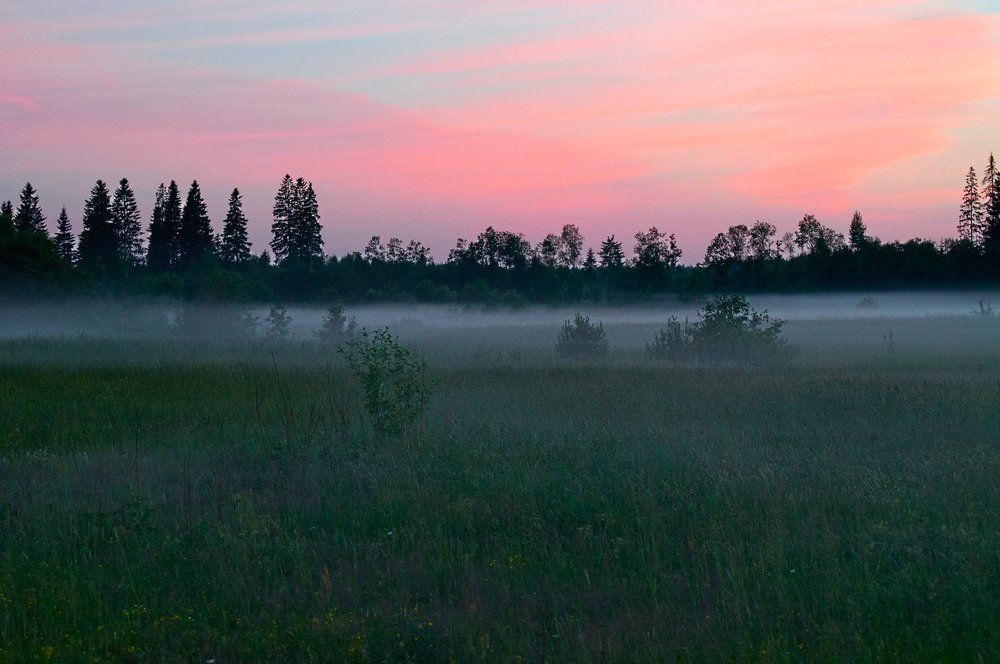 Легли туманы ранние