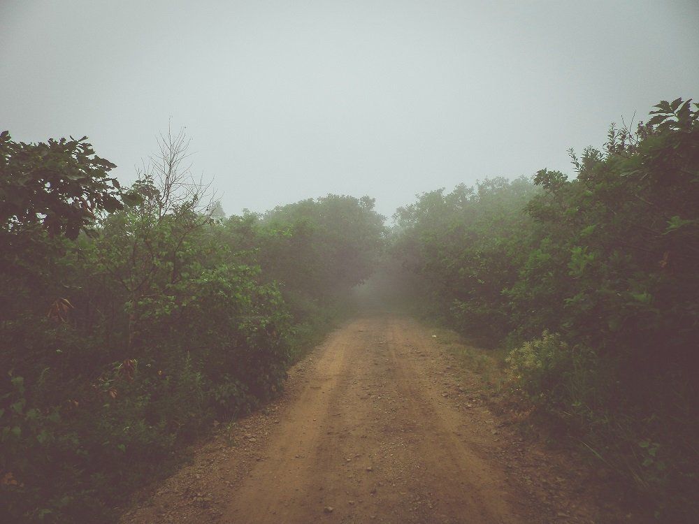 Там, на неведомых дорожках...