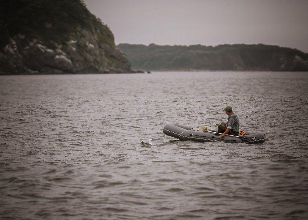 Рыбак и чайка
