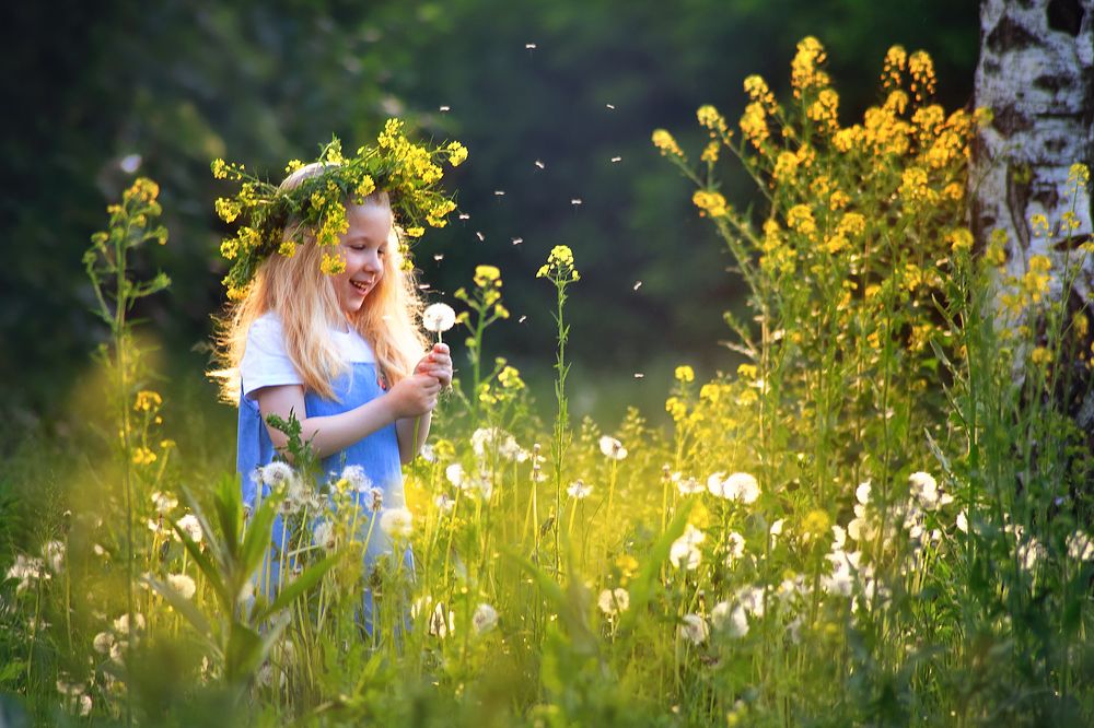 В одуванчиках