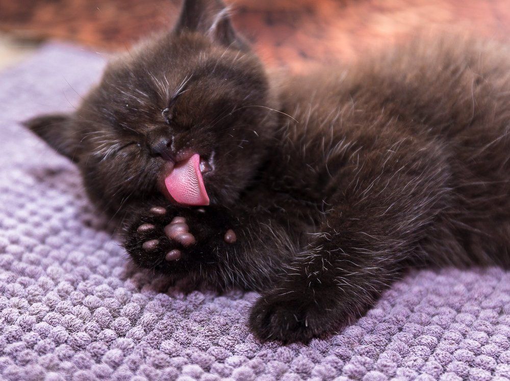 Фотография автора Сергей Середовой