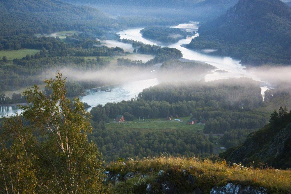 Туман над Катунью