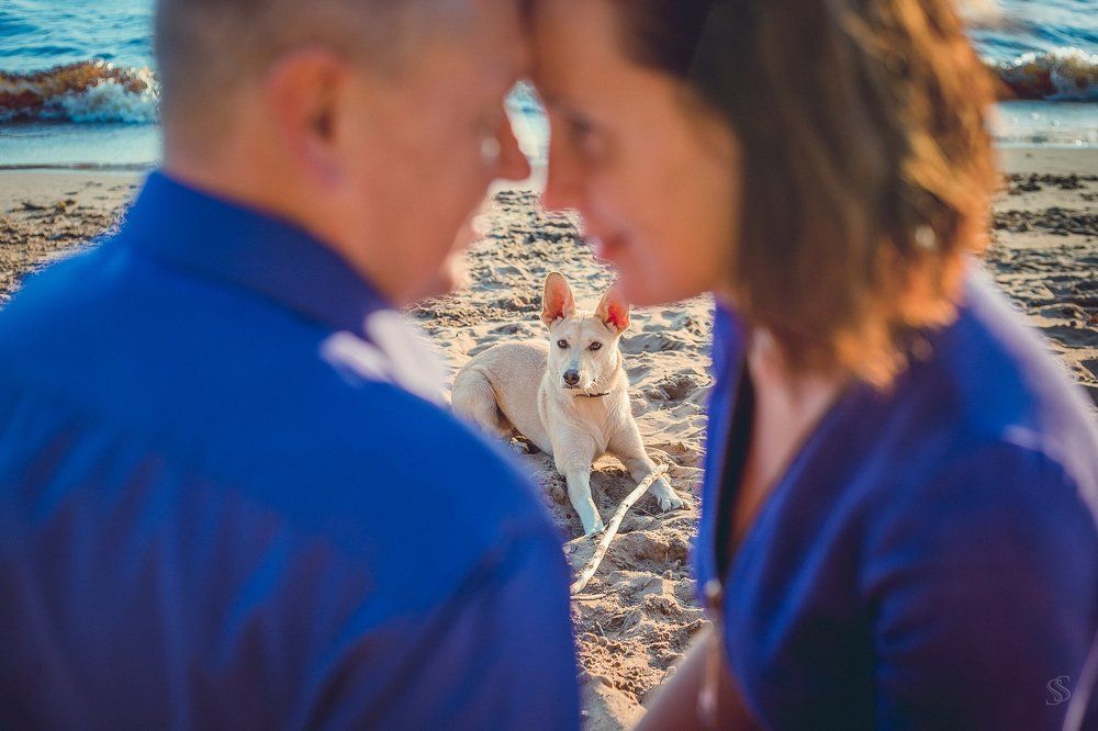 Фотография автора Софья Сергина