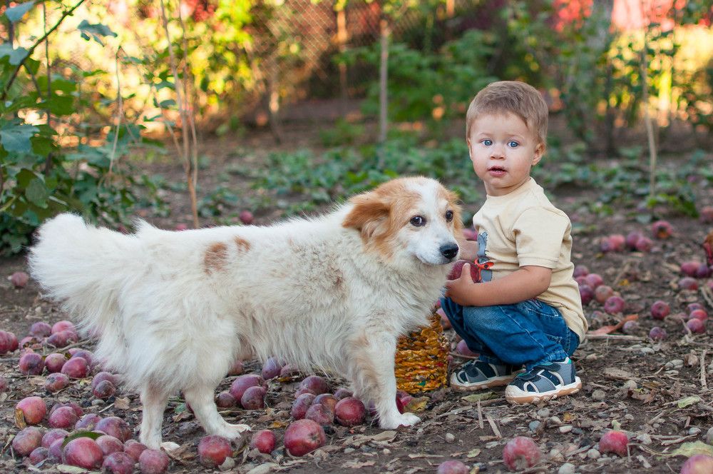 Дмитрий и "Малыш"