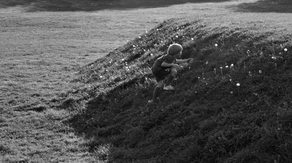 ОДУВАНЧИКИ