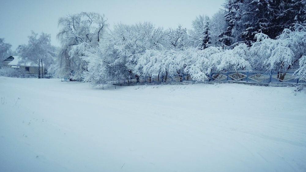 Photo #2522349