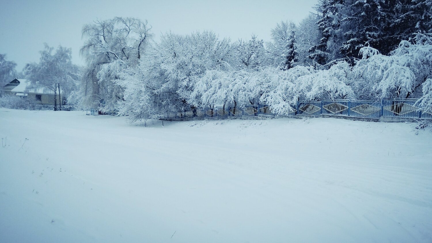 Photo #2522349