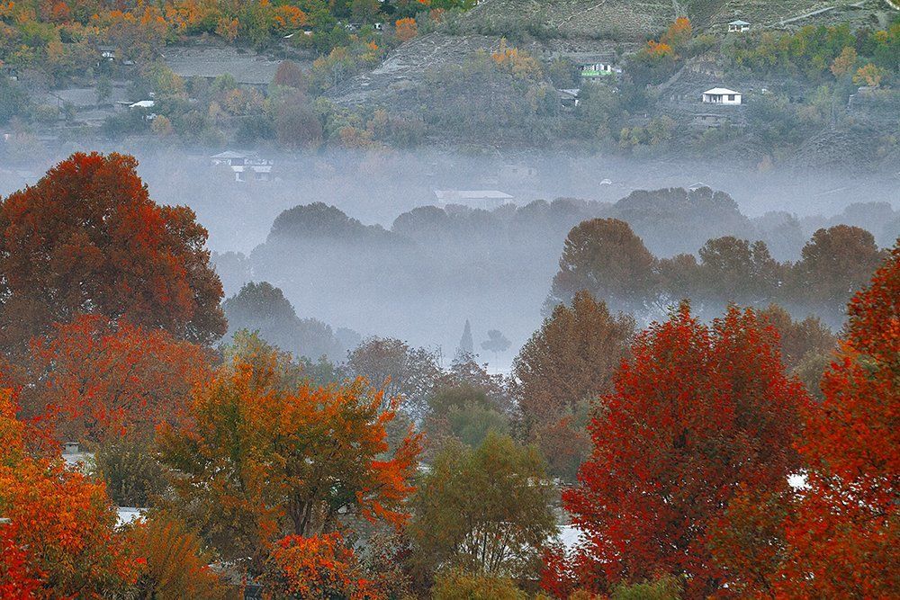 Autumn Season, Chitral, Pakistan