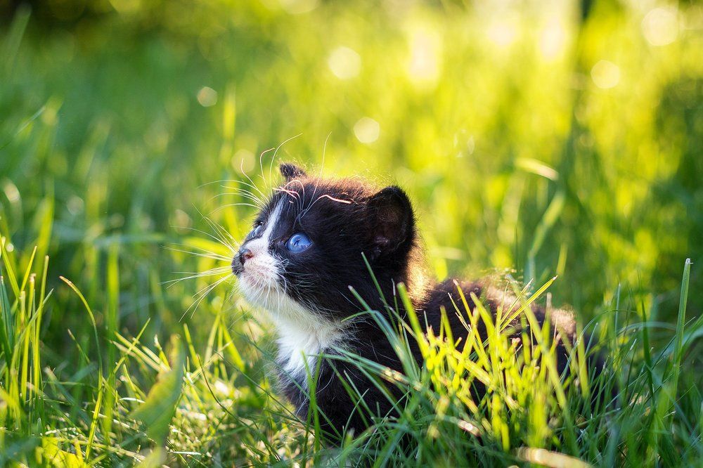 Первый день без мамы