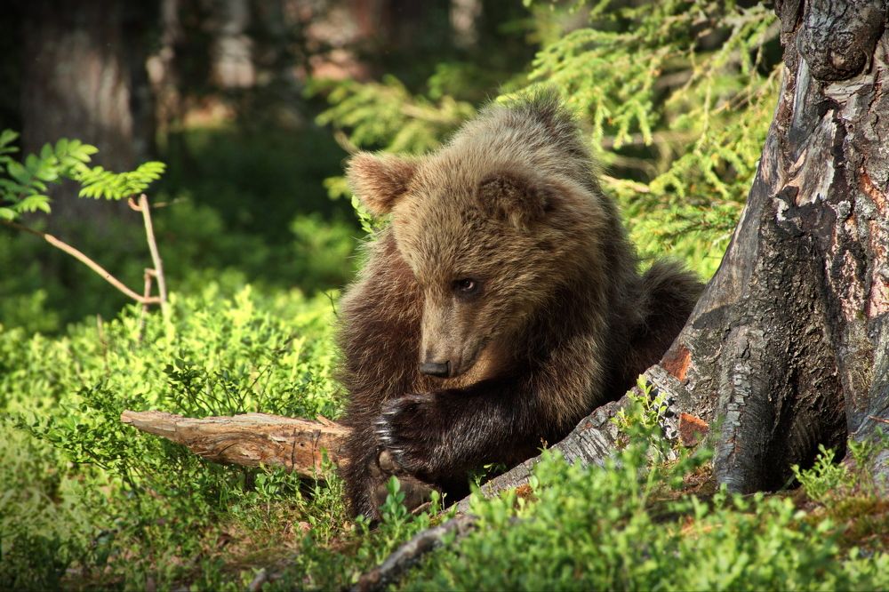 Смотри у меня!..