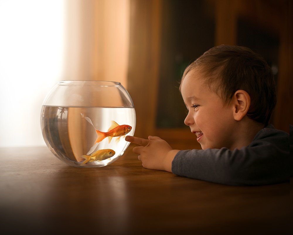 everybody is a Genius