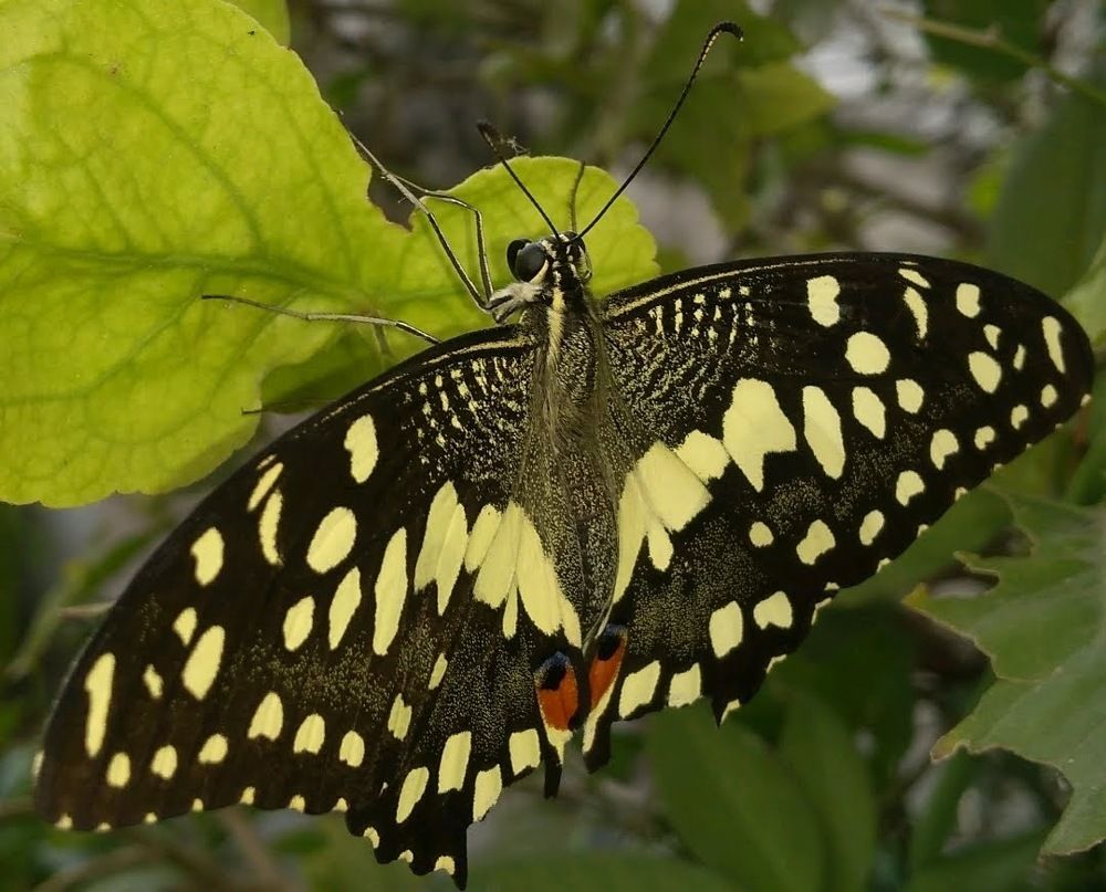 Photograph by Praneeth Ravikanti
