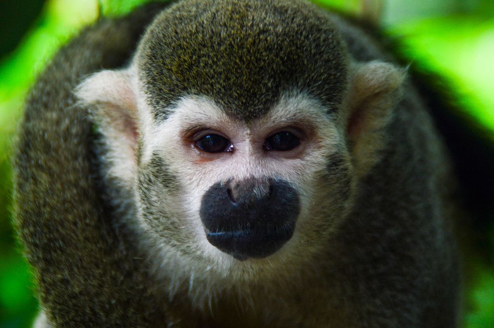 Photograph by Олег Смирнов