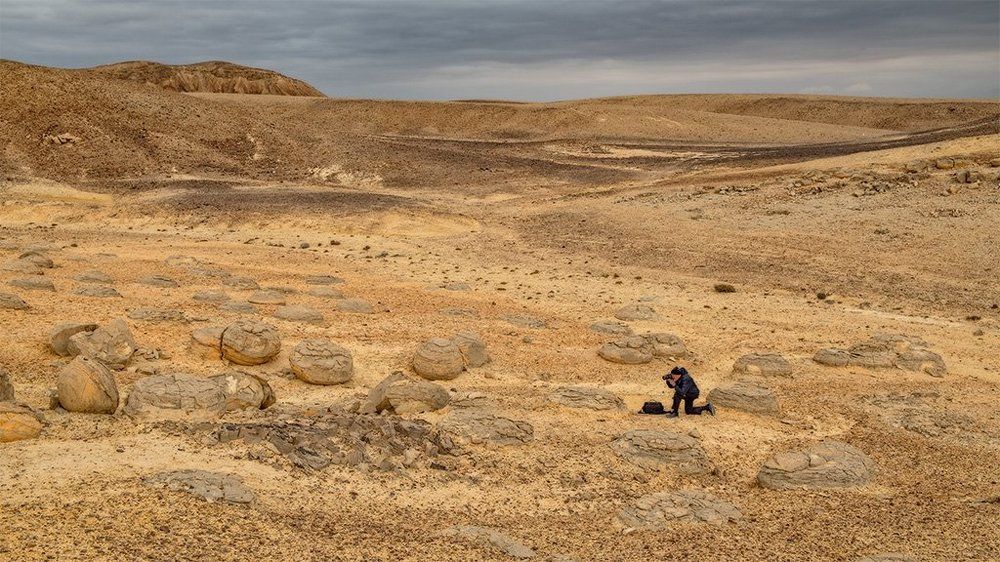 Поле бульбусов.