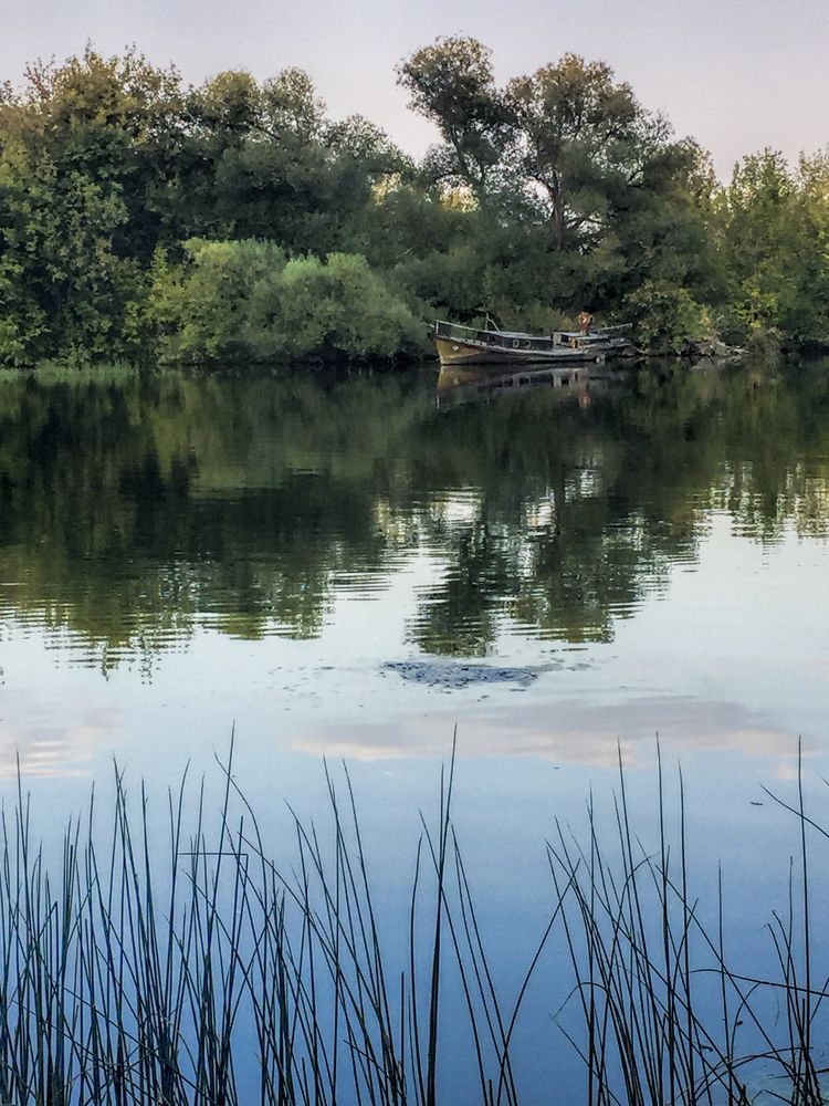 Москва-река. Сентябрь