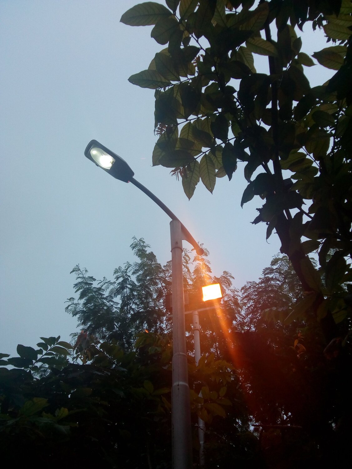 Just light out
