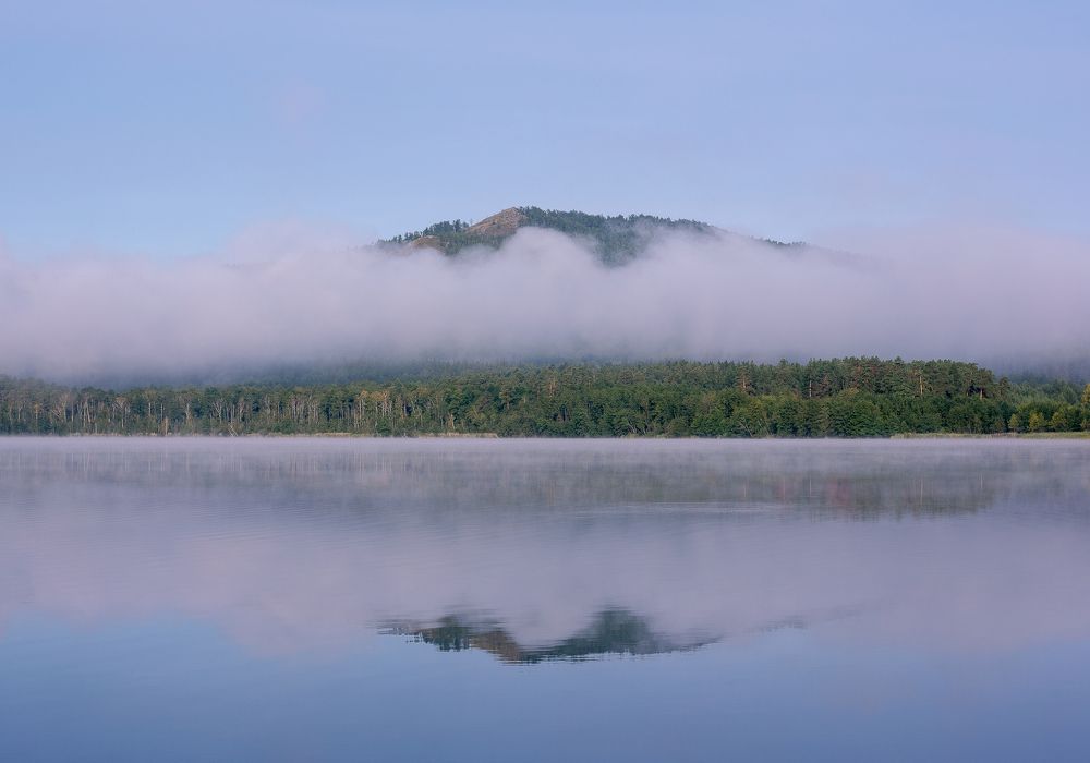 Под утренним покрывалом