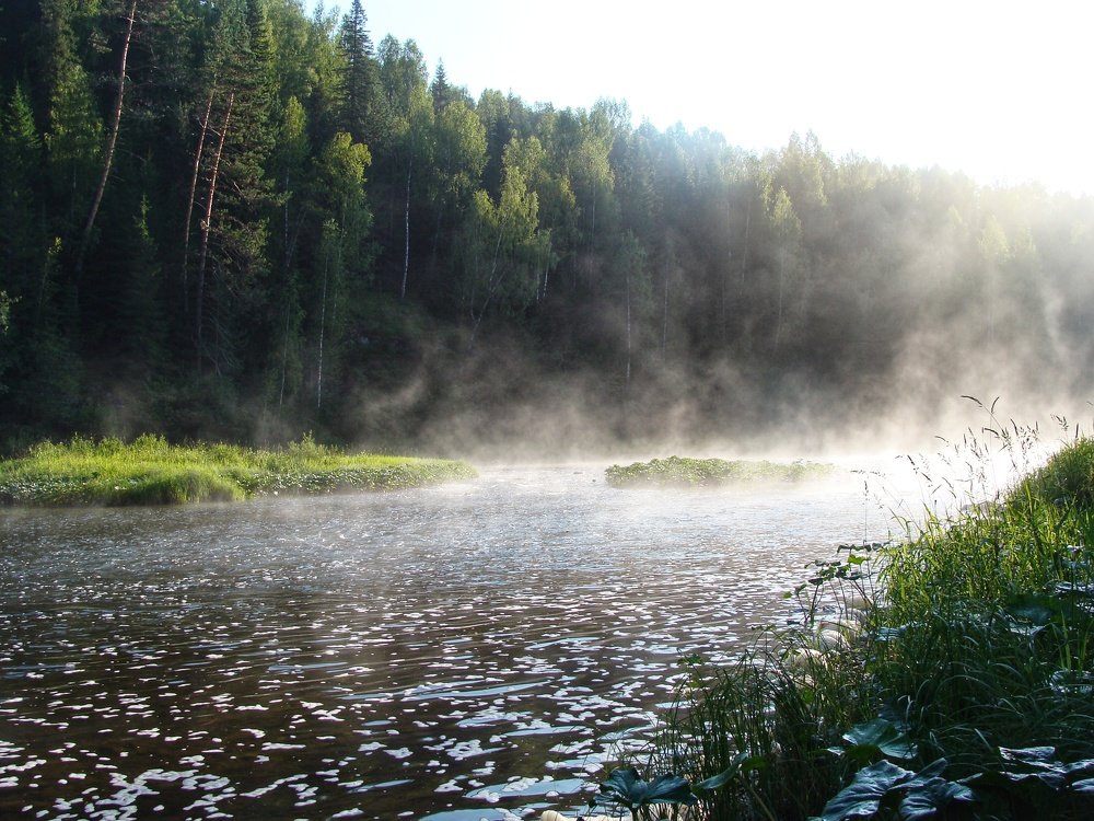 Туман на Койве