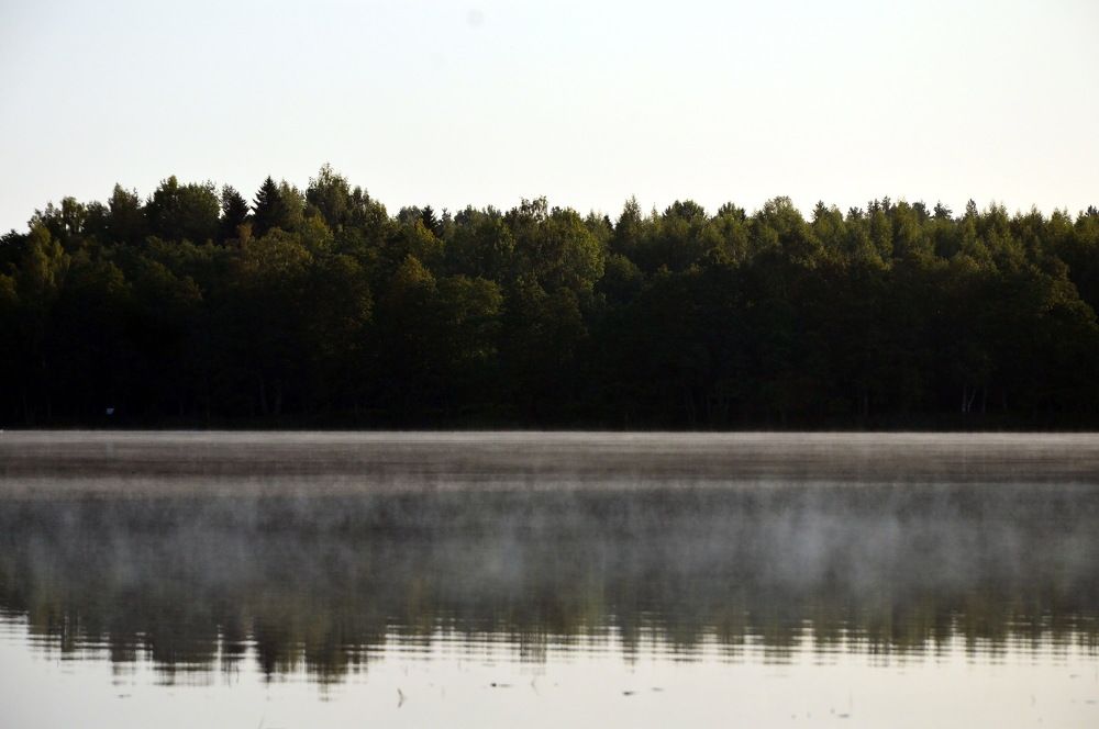 Рождение тумана